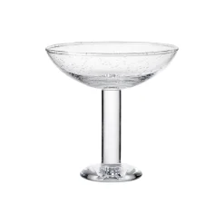 Bubble Glass Champagne Coupe