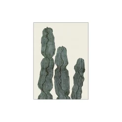 Cactus Euphorbia