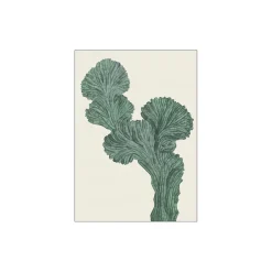 Cactus Myrtillo