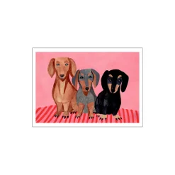 Dachshunds