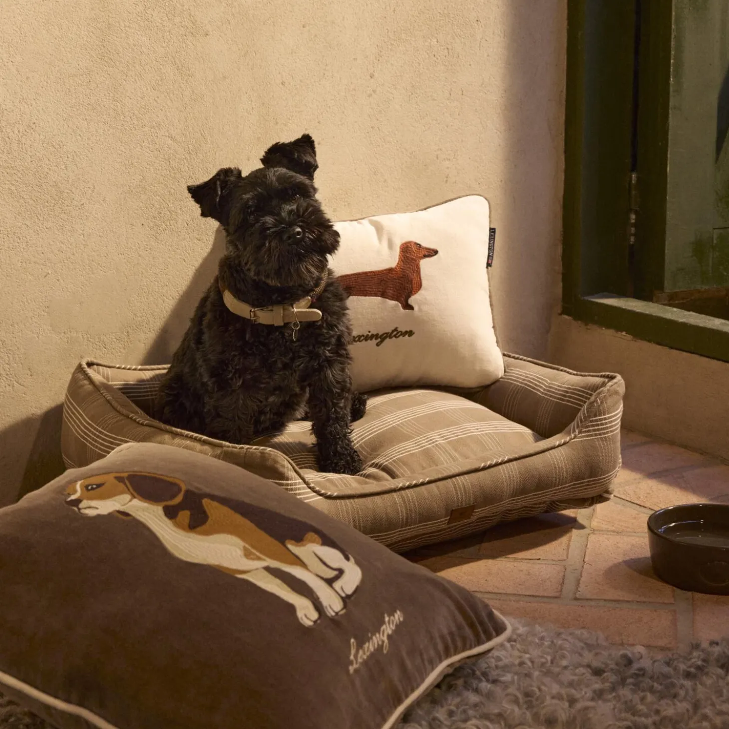 Dog Pillow, lt beige multi
