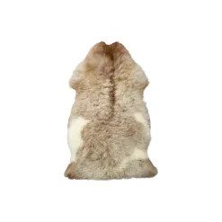 Himalaya lammeskind, light spotted