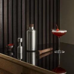 Liquid Lounge cocktail shaker