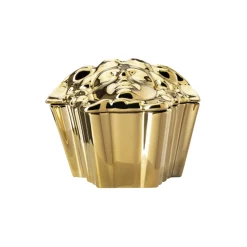 Medusa Box