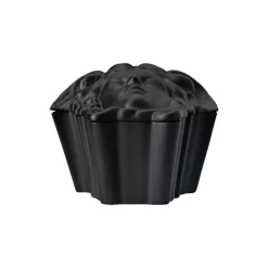 Medusa Box