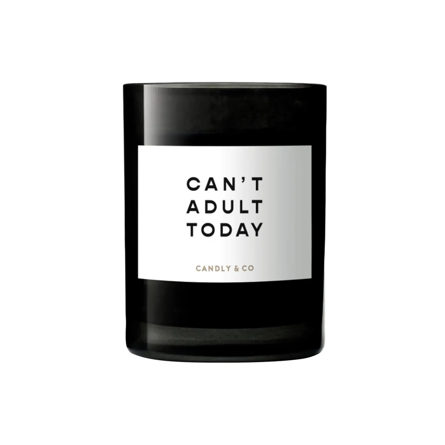 No. 1 Candle, Can't adult today