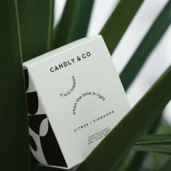 No. 3 Candle, It will happen when the time is right