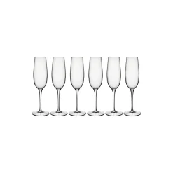Palace champagneglas 6 stk.