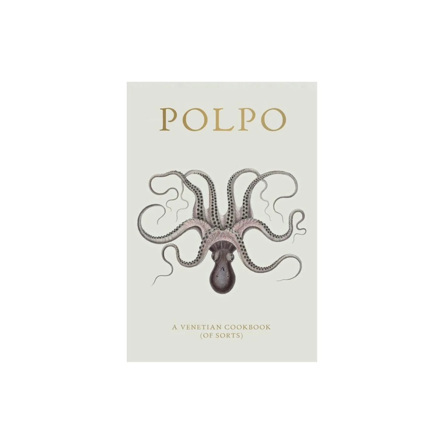 Polpo