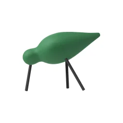 Shorebird, green