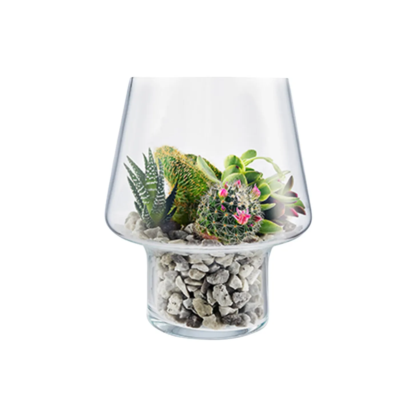 Sukkulent vase