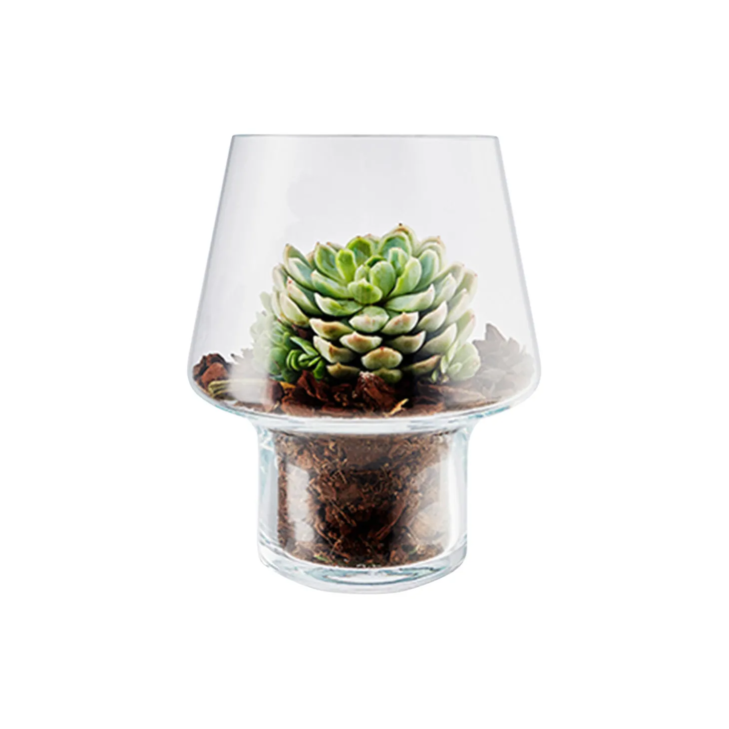 Sukkulent vase